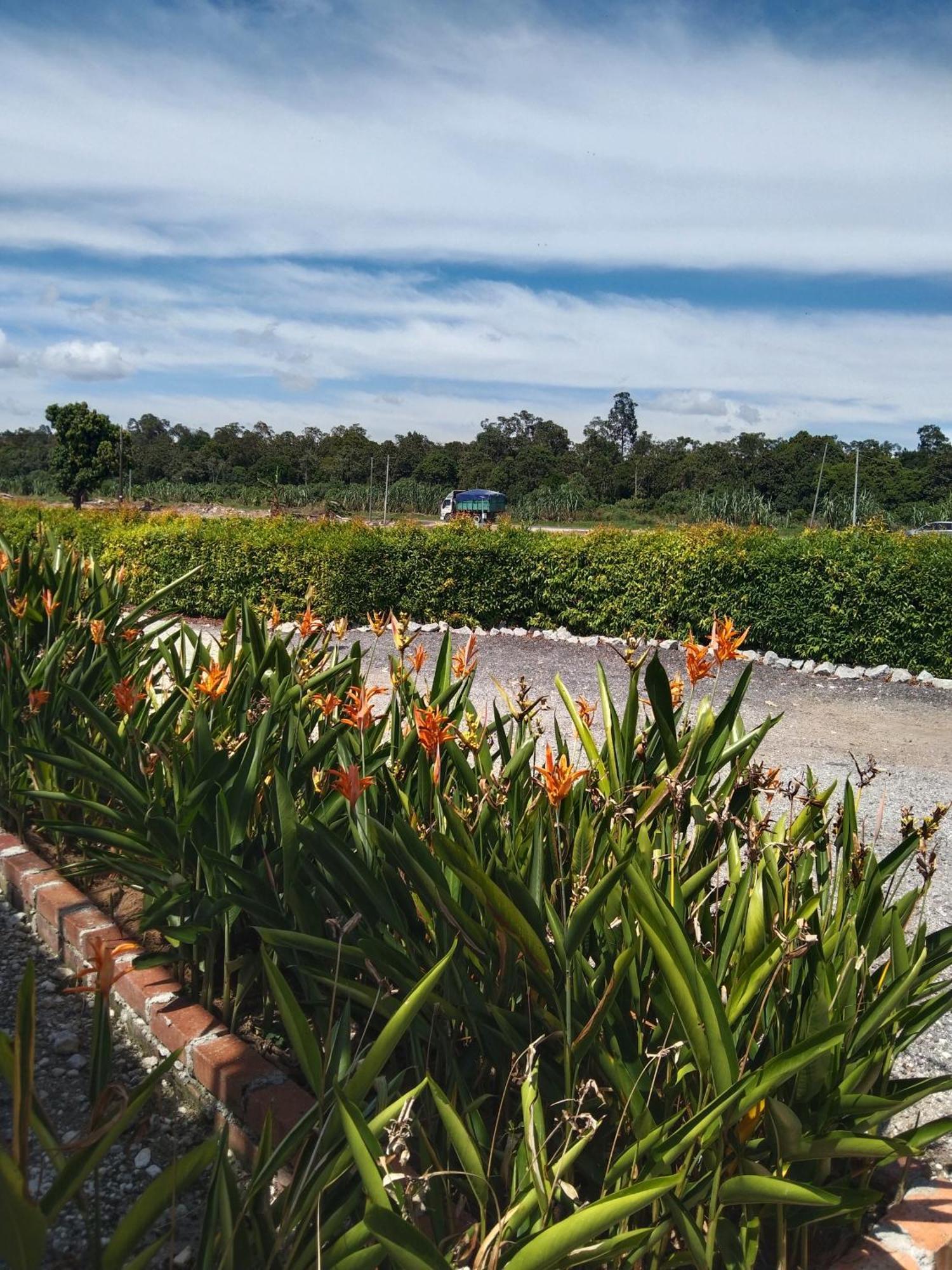 Casa Homestay D Sekinchan Dış mekan fotoğraf